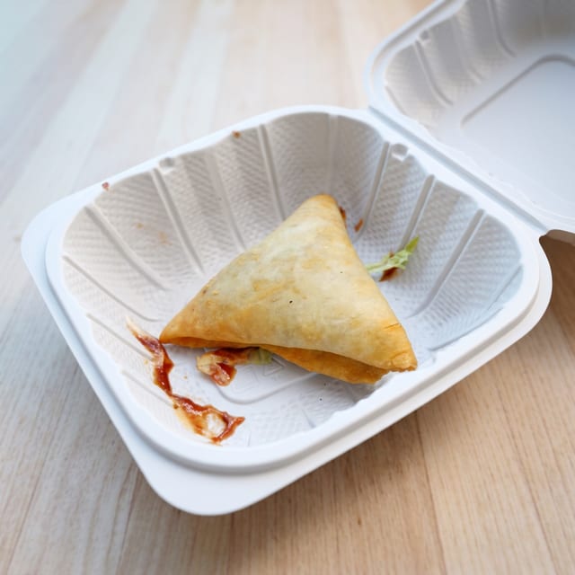 Single Samosa.